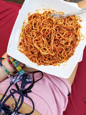 Vegan Spaghetti napolitana at Palmar Beach Lodge in Bastimento