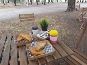 Toasties, cake, and coffee at Little Mylkbar in Parkville