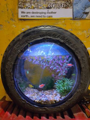  at Hidden Gem Cafe in Hanoi