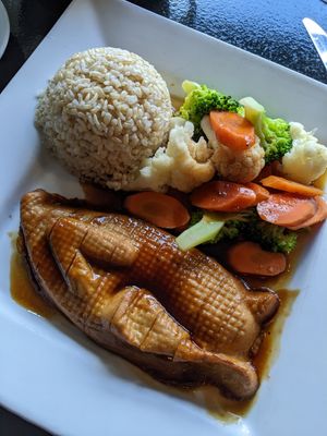 Green earth rotisserie at Green Earth Vegan Cuisine in Toronto