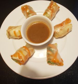 Summer rolls at Green Earth Vegan Cuisine in Toronto