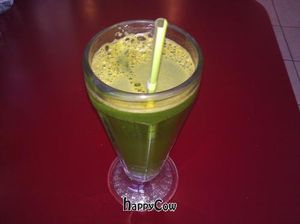 green juice at Green Earth Vegan Cuisine in Toronto