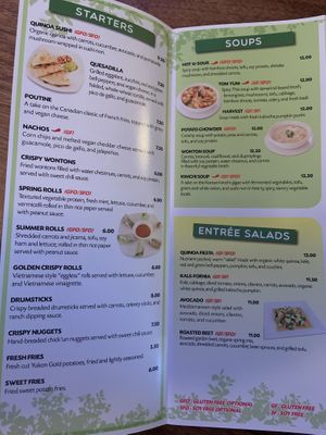 Take out menu 1 at Green Earth Vegan Cuisine in Toronto
