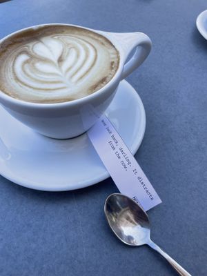   at Nola Kitchen in Porto