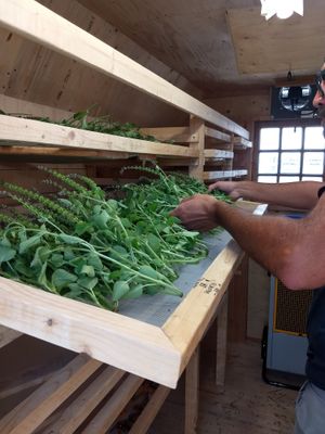  at Millefolia - ferme aromatique in Sainte Ursule