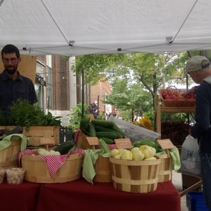 Market at coop la maison verte, 5785 Sherbrooke W, Montréal at Millefolia - ferme aromatique in Sainte Ursule