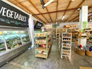 Inside store at Green World Store in Santa Teresa