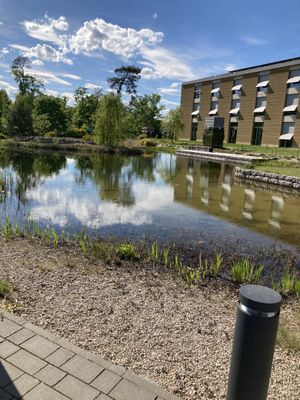   at Tibits in Darmstadt