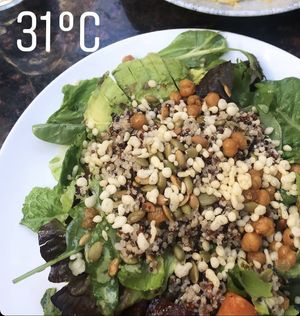 one of their seasonal bowls   at Earls Kitchen + Bar - 23rd St NE in Calgary