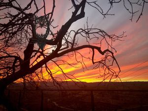 The sunset view for el makhrour valley at Jala Jungle in Beit Jala