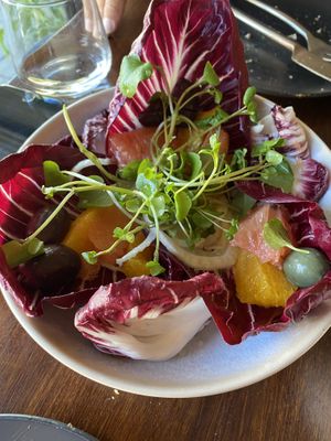   at You Came Again in West End