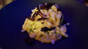 Mac and cheese again at Dumbo in Rotterdam