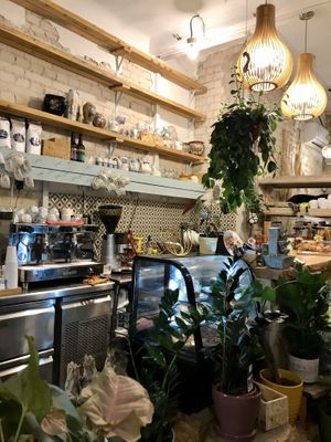 Amazing 😍 at Shizen in Tel Aviv