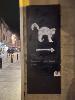 🐈‍⬛ at The Alleycat in Inverness