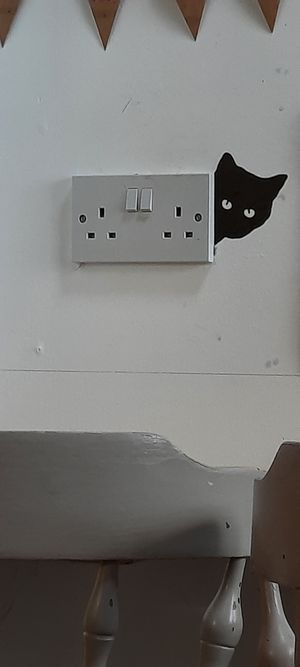  at The Alleycat in Inverness