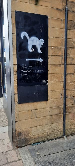  at The Alleycat in Inverness