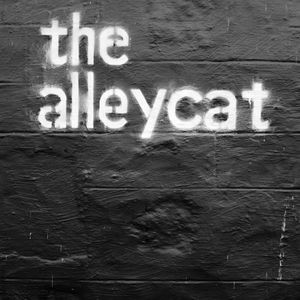 Minimalist at The Alleycat in Inverness