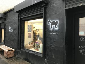 The Alley Cat at The Alleycat in Inverness