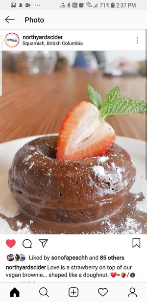 GF Vegan Chocolate Brownie  at Northyards Cider Co. in Squamish