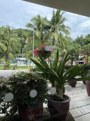 View from Lebanon, Batu Ferringhi, Penang  at Lebanon in Penang