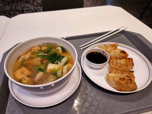 Wonton soup and fried gyoza at Talalaks Emporium Food Hall in Bangkok