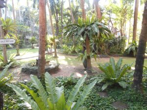 Beach Road entrance.  at Garden Cafe in Pattaya