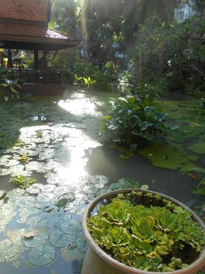 Beach Road entrance.  at Garden Cafe in Pattaya