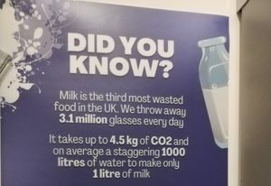 Information to show why the cafe project is needed at REfUSE Café in Chester-le-street