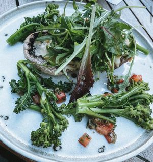 Portobello mushrooms with béchamel & salad at The Broadway Hotel in Broadway