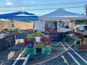  at Down to Earth Larchmont Farmers' Market in Larchmont