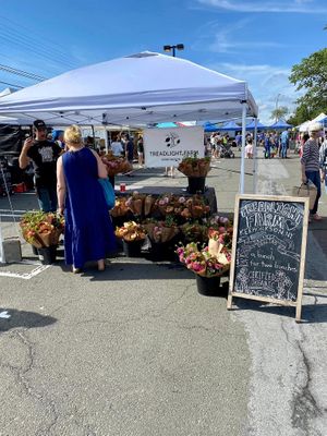  at Down to Earth Larchmont Farmers' Market in Larchmont