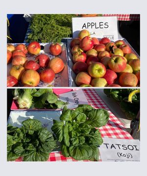 Park Slope Farmers Market at Down to Earth Park Slope Farmers' Market in Brooklyn