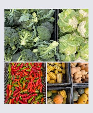 Park Slope Farmers Market at Down to Earth Park Slope Farmers' Market in Brooklyn