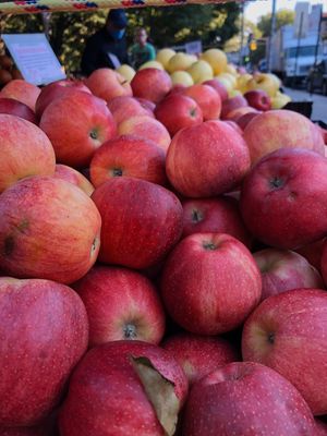  at Down to Earth Park Slope Farmers' Market in Brooklyn