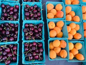  at Down to Earth Park Slope Farmers' Market in Brooklyn