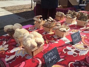  at Down to Earth Park Slope Farmers' Market in Brooklyn
