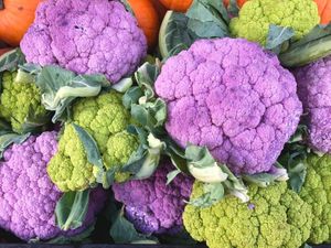  at Down to Earth Park Slope Farmers' Market in Brooklyn