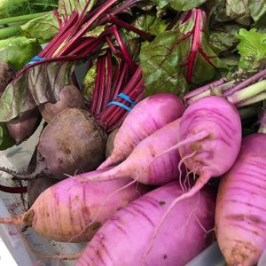  at Down to Earth Park Slope Farmers' Market in Brooklyn
