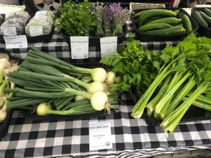  at Morningside Park Farmers' Market in New York City
