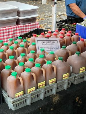 Morningside Park Farmers Market at Morningside Park Farmers' Market in New York City