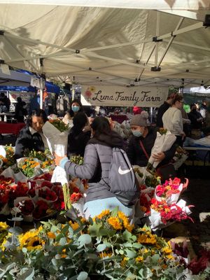 Morningside Park Farmers Market at Morningside Park Farmers' Market in New York City