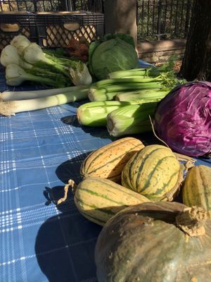 Morningside Park Farmers Market at Morningside Park Farmers' Market in New York City