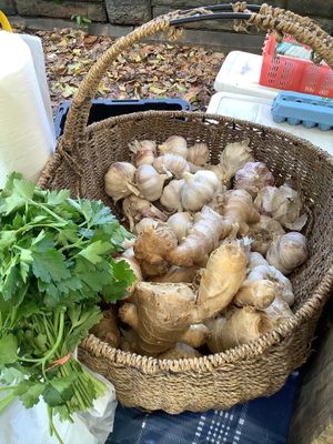 Morningside Park Farmers Market at Morningside Park Farmers' Market in New York City
