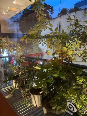 nice atmosphere  at Pumpkin Tales in Chennai