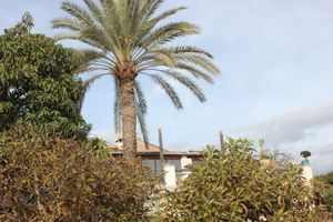  at Finca Manantial de Luz in Almayate Alto