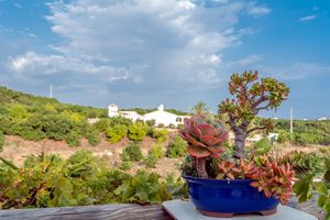 view to the neigbour finca to the east at Finca Manantial de Luz in Almayate Alto