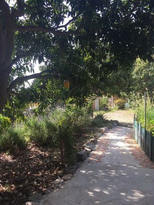 way from the Casa Mariposa (studio house) to the main house at Finca Manantial de Luz in Almayate Alto