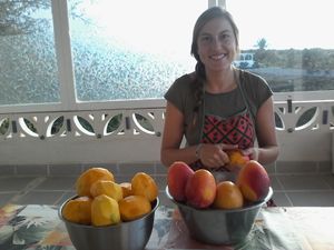 one of my working guests preparing mangos for drying at Finca Manantial de Luz in Almayate Alto