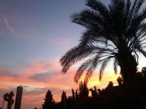 evening on the finca at Finca Manantial de Luz in Almayate Alto