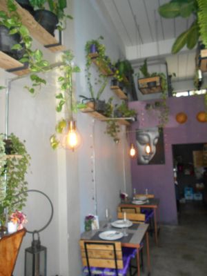 Interior at MAYs in Pattaya